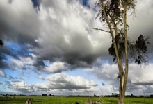 美金杯比分怎么看？最新赛况与解读全在这里