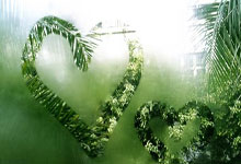 500官方彩票网安全吗？靠谱吗？